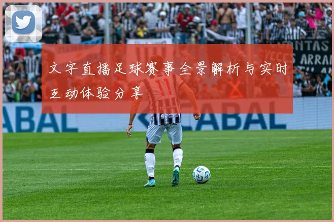 文字直播足球赛事全景解析与实时互动体验分享