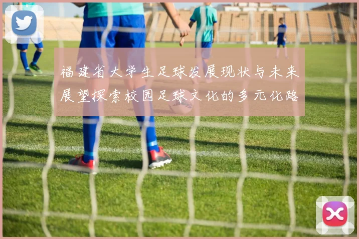 福建省大学生足球发展现状与未来展望探索校园足球文化的多元化路径